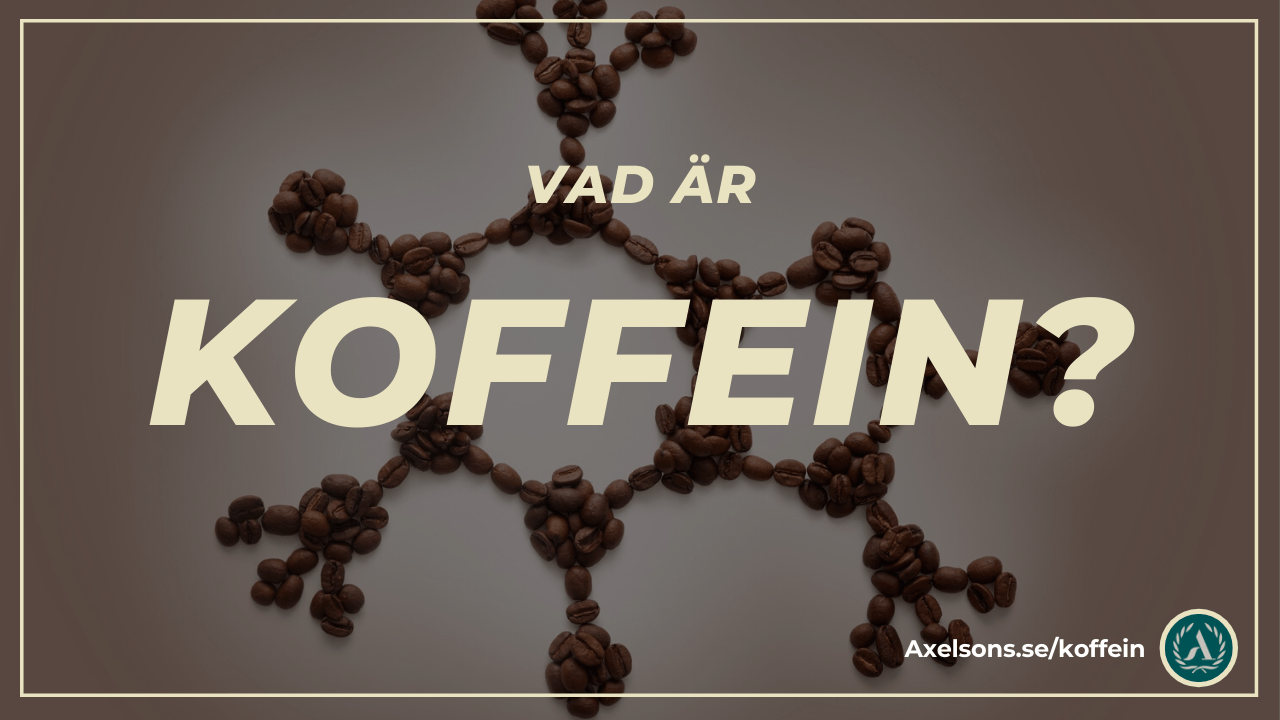 hva er koffein?